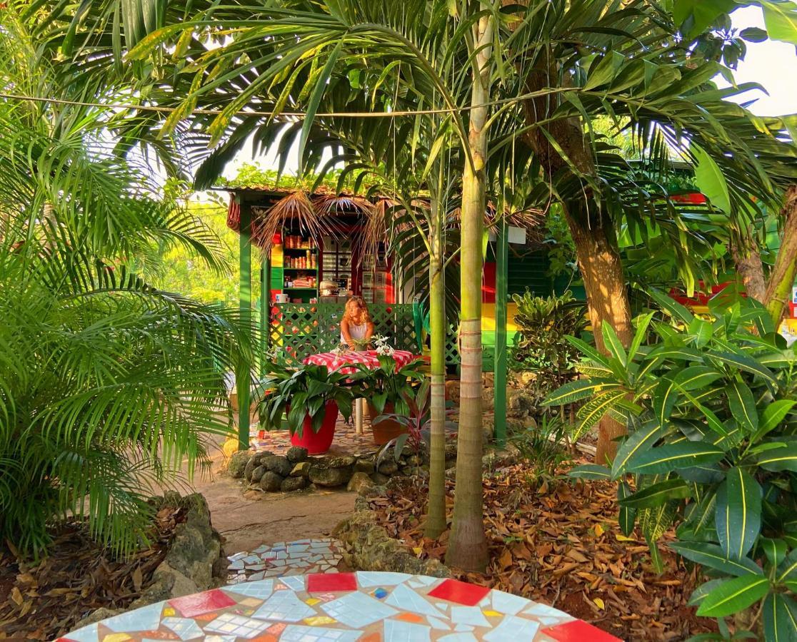 Judy House Cottages And Rooms Negril Exterior photo