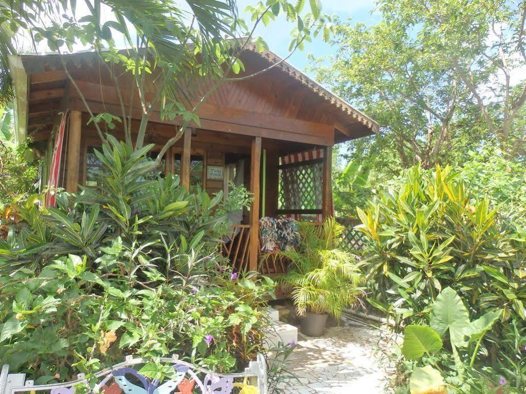 Judy House Cottages And Rooms Negril Exterior photo